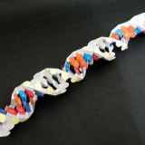 ペーパークラフト「DNAを作ろう」