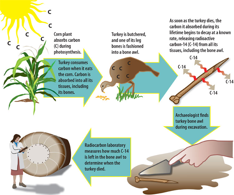 radiocarbon dating history