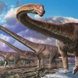 中生代－恐竜の隆盛から絶滅まで－