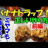 【カブトムシ・クワガタムシ】バナナトラップの作り方