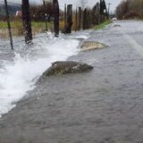 【動画】大雨で道路が水びだしになった所をサケが遡上する