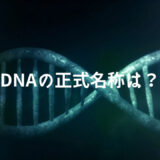DNAの正式名称は何？