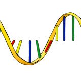 遺伝子発現の調節-RNAによる調節-