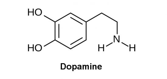 ドーパミン