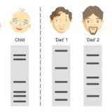DNA型鑑定