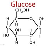 生体内の糖まとめ‐単糖・二糖・多糖類‐