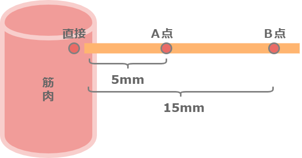 興奮の伝導 伝達時間の計算 バイオハックch