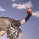 抱卵する恐竜「オヴィラプトル (Oviraptor)」が卵を抱いたまま死んだ情景が悲しすぎる