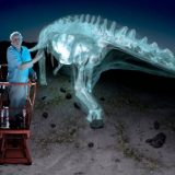 恐竜と一緒に歩いてみよう！BBCが作成した360°見渡せる映像