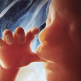 【Q＆A】胎児はいつから夢を見るの？