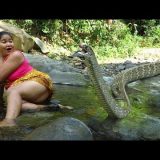 【閲覧注意】超ワイルドな女性がホホホホホホホッと叫びながら大蛇を捕獲し丸焼きにして食べる