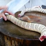 【閲覧注意】巨大なヘビをスープにする過程を撮影してみた【中国】