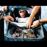 【動物実験】宇宙空間が生物に与える影響を調べるためにチンパンジーを宇宙に送ったNASAの実験映像