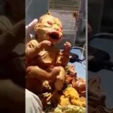 【動画】ハーレクイン型魚鱗癬の生まれたばかりの赤ちゃん