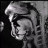【動画】ホルンを演奏する様子をMRIで撮影してみたらめちゃくちゃ舌が動いていた