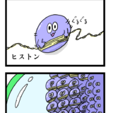 【四コマ漫画】染色体の構造
